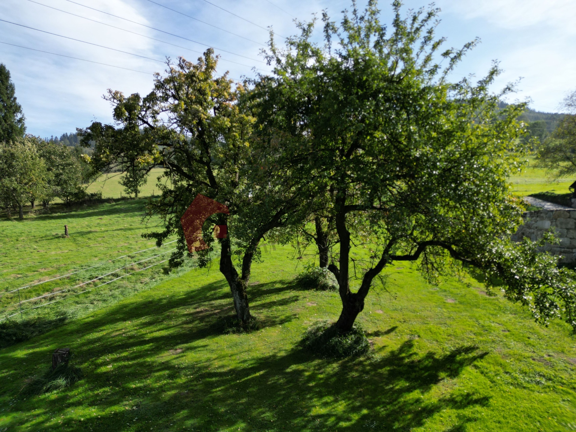 Prodej stavebniho pozemku 932 m2 Česká Ves, okres Jeseník