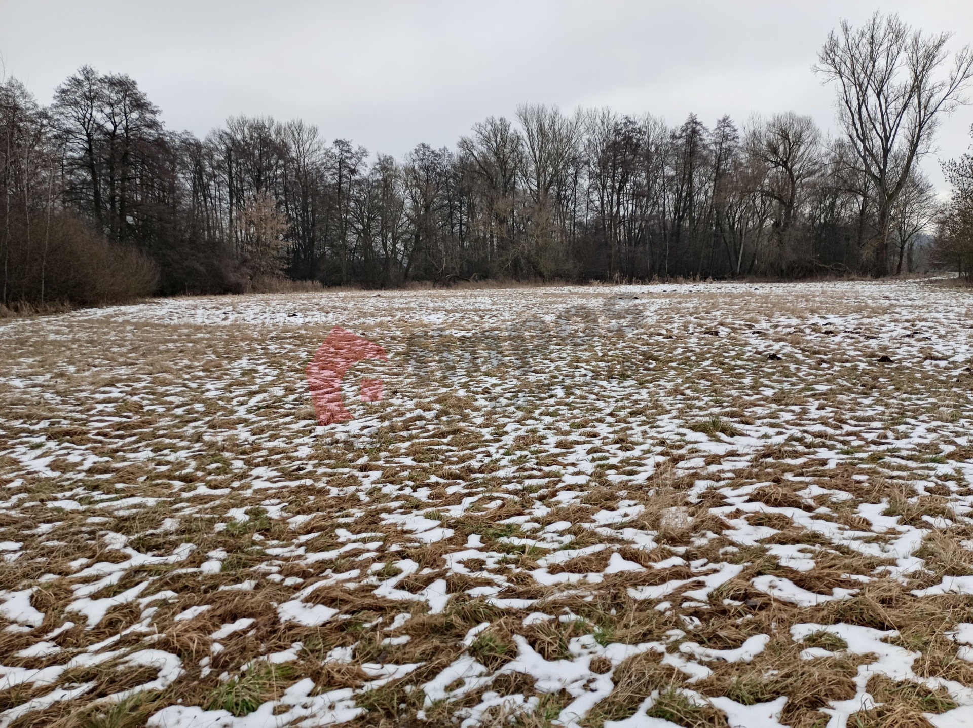 Prodej vodní plochy a lesního pozemku 23 278 m2, Vysoká nad Labem