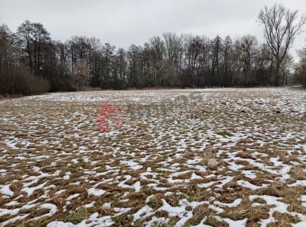 Prodej pozemku, zemědělská půda, 23 278 m²