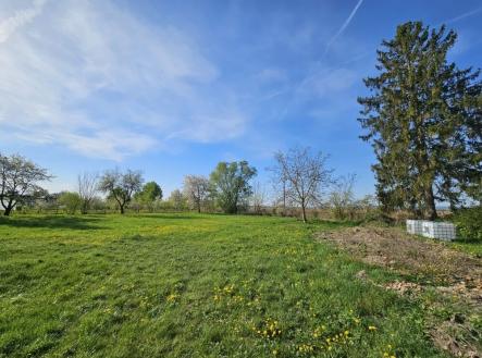 Prodej pozemku pro bydlení, 1 005 m²