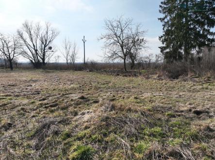 Prodej pozemku pro bydlení, 1 005 m²