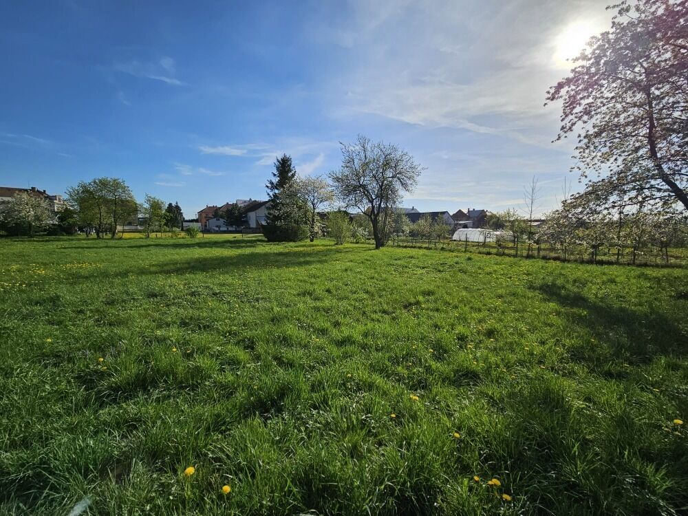 Stavební pozemek Renoty 1 185 m2