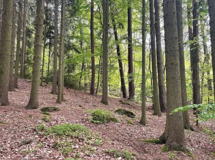 Prodej pozemku, les, 7 759 m²