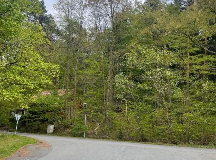 Prodej pozemku, les, 7 759 m²