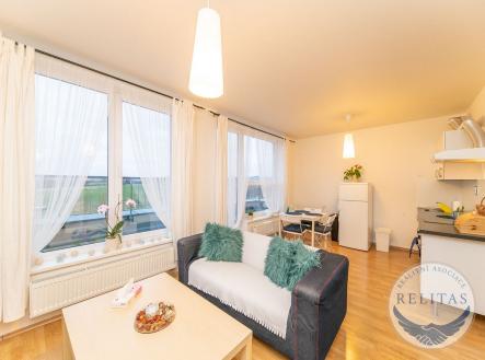 Pronájem bytu, 1+kk, 43 m²