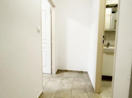 Pronájem bytu, 1+1, 49 m²