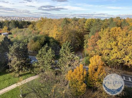 fotografie nemovitosti č. 19