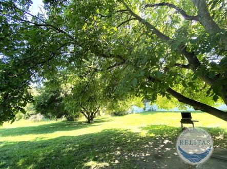 Prodej domu/vily, 124 m²