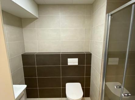 Pronájem bytu, 1+kk, 20 m²