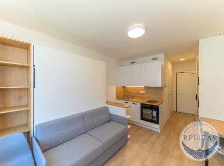 Pronájem bytu, 1+kk, 20 m²