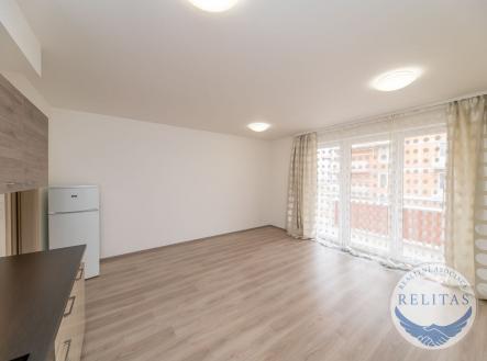 Pronájem bytu, 1+kk, 42 m²
