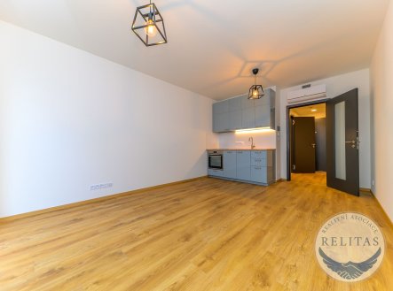 Pronájem nového klimatizovaného bytu 1+kk 30 m² + 5 m² terasa, Basilejské náměstí