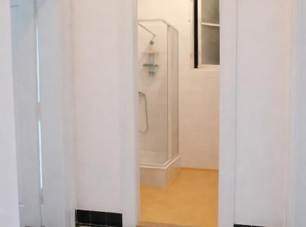 Pronájem bytu, 2+kk, 55 m²