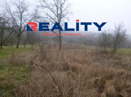 Prodej pozemku, ostatní, 2 656 m²
