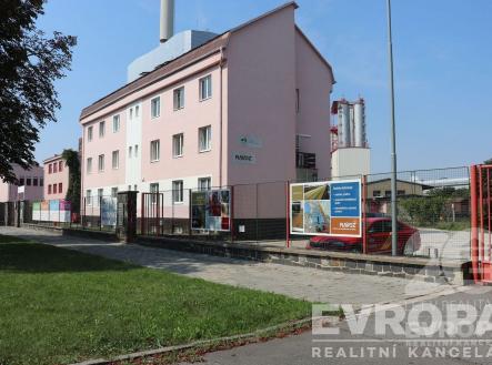 Pronájem kanceláře, 19 m²