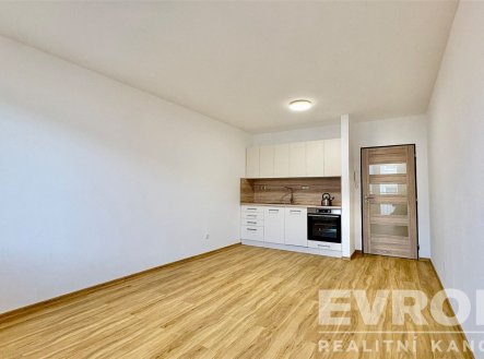 Pronájem bytu, 1+kk, 39 m²