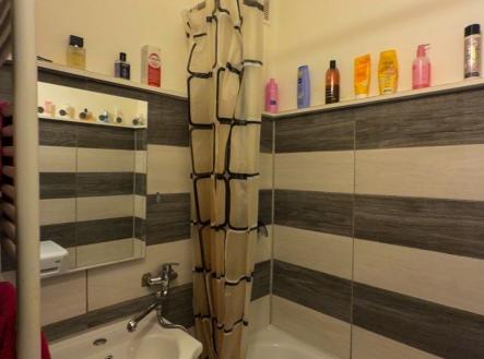 Pronájem bytu, 2+1, 48 m²