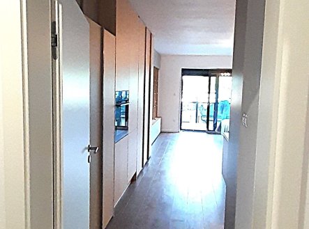 Pronájem bytu, 1+kk, 44 m²