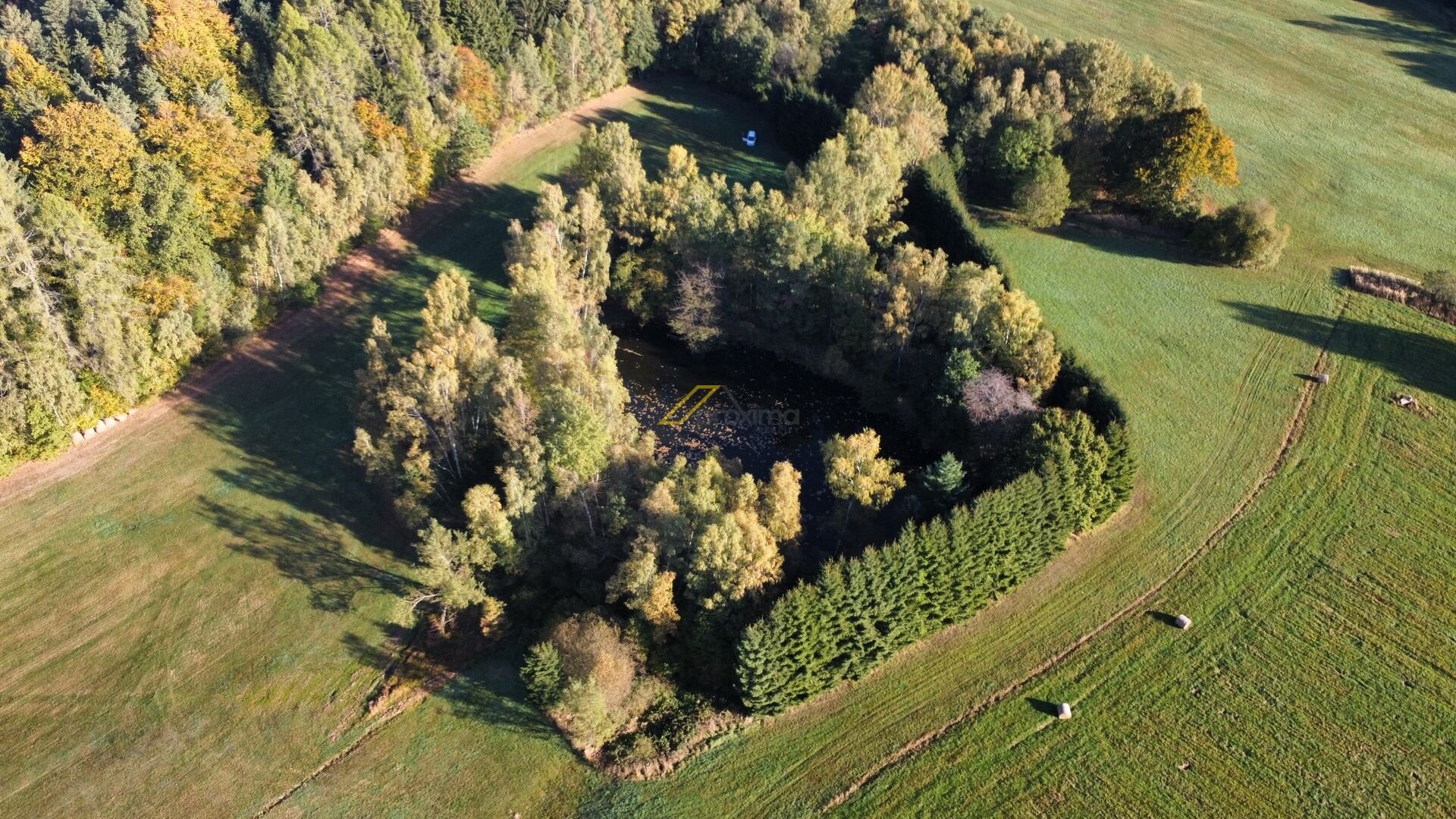 Prodej rybníku s pozemky, Klení, Benešov nad Černou