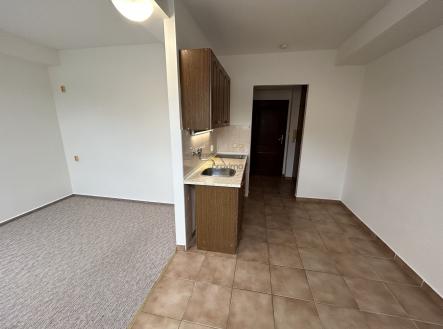 Pronájem bytu, 1+kk, 25 m²