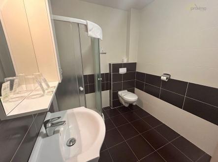 Pronájem bytu, 1+kk, 29 m²