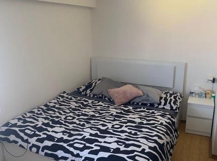 Pronájem bytu, 1+kk, 20 m²