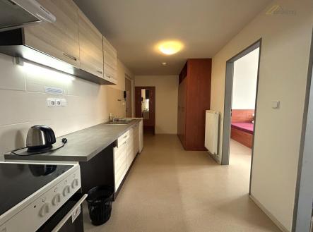 Pronájem bytu, 2+1, 46 m²