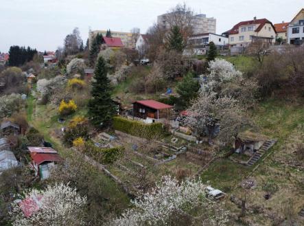 Pronájem pozemku, zahrada, 245 m²