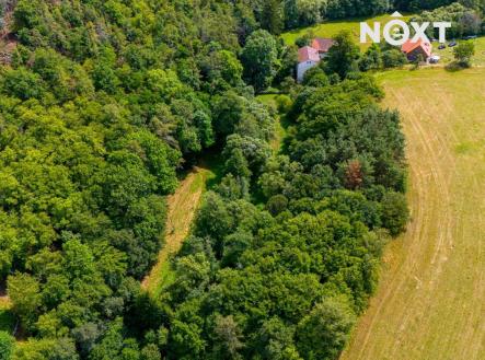 Prodej - pozemek, trvalý travní porost, 4 957 m²