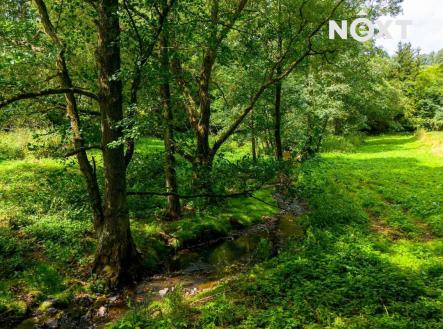 Prodej pozemku, trvalý travní porost, 4 957 m²