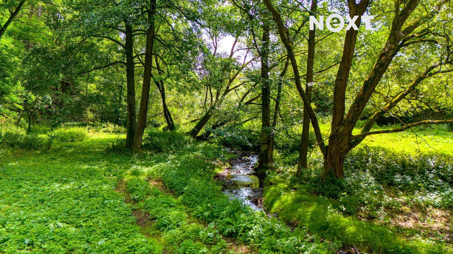 Prodej pozemek Louky, 4957㎡