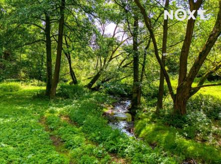 Prodej pozemku, trvalý travní porost, 4 957 m²
