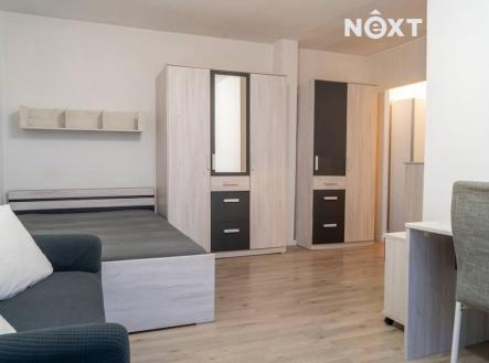 Pronájem bytu, 1+1, 28 m²