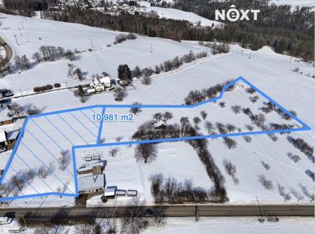 Prodej pozemku pro bydlení, 10 981 m²