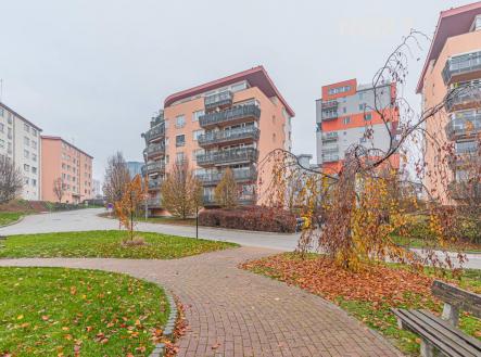 Pronájem bytu, 2+kk, 64 m²