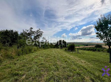 Prodej - pozemek, ostatní, 1 446 m²