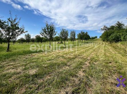 Prodej - pozemek, ostatní, 1 446 m² obrázek