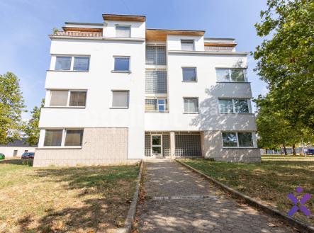 Prodej bytu, 1+kk, 43 m²