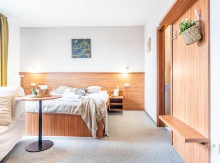 Prodej hotel, 501 m²