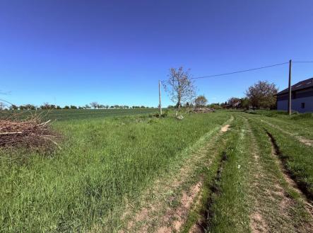 Prodej pozemku pro bydlení, 2 736 m²