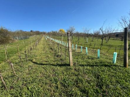 Prodej pozemku,, 4 353 m²