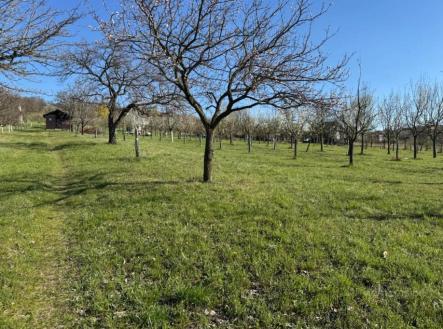 Prodej pozemku,, 4 353 m²