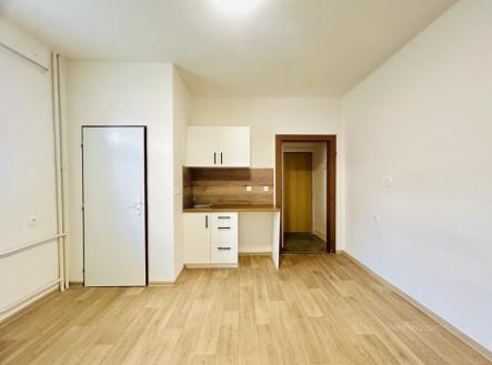 Pronájem bytu, 1+kk, 20 m²