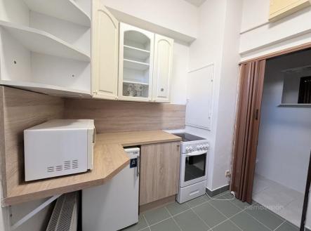 Pronájem bytu, 1+1, 29 m²