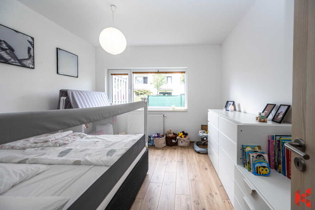 Fotku se nepodařilo načíst.