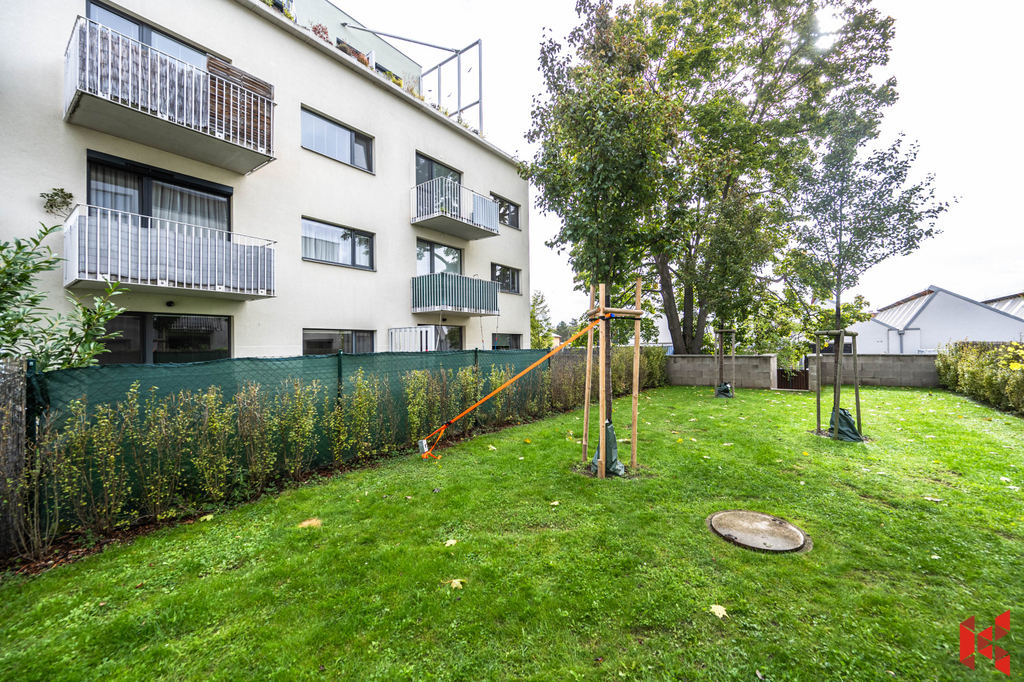 Fotku se nepodařilo načíst.