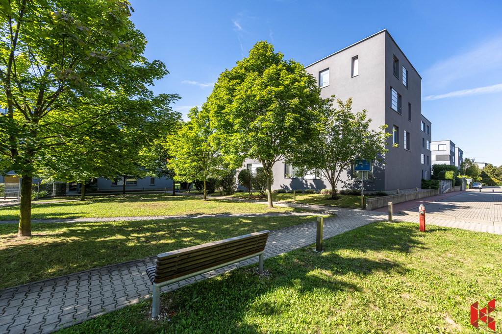 Fotku se nepodařilo načíst.