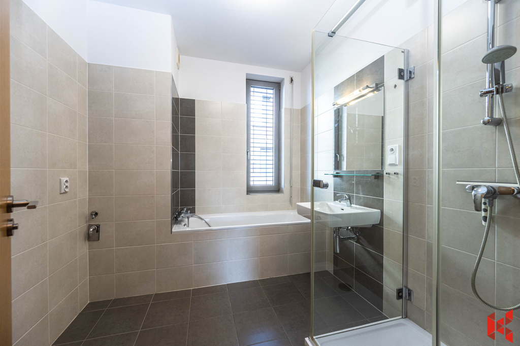 Fotku se nepodařilo načíst.