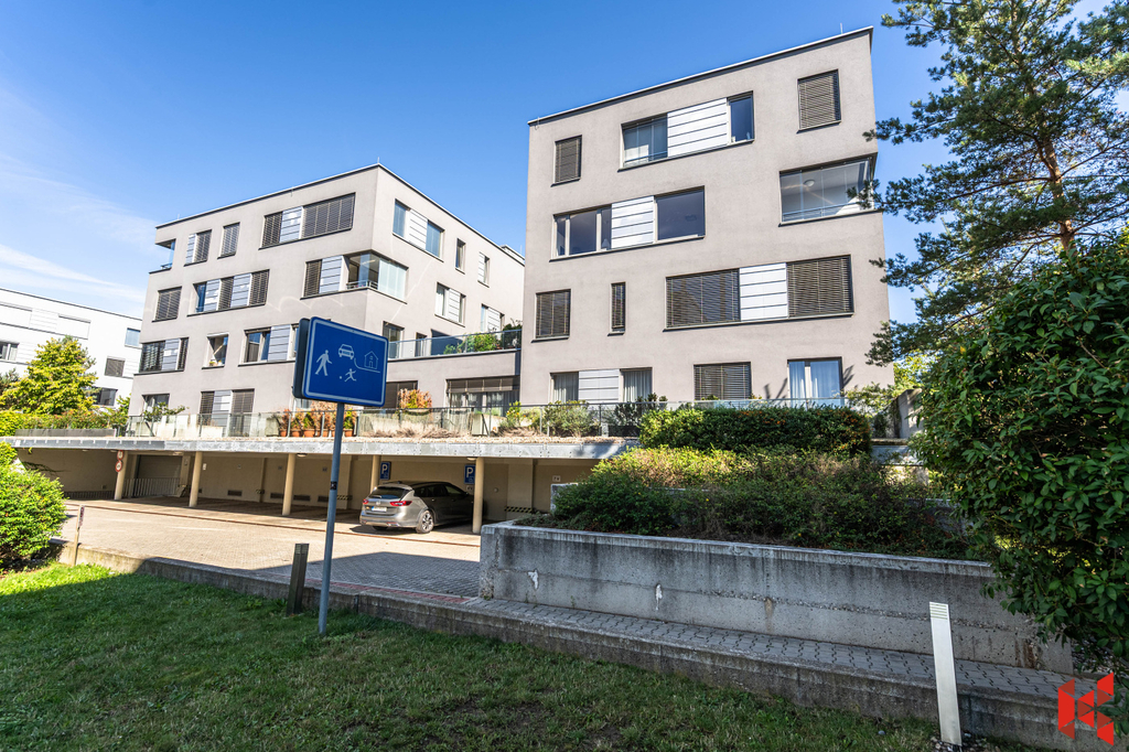 Fotku se nepodařilo načíst.