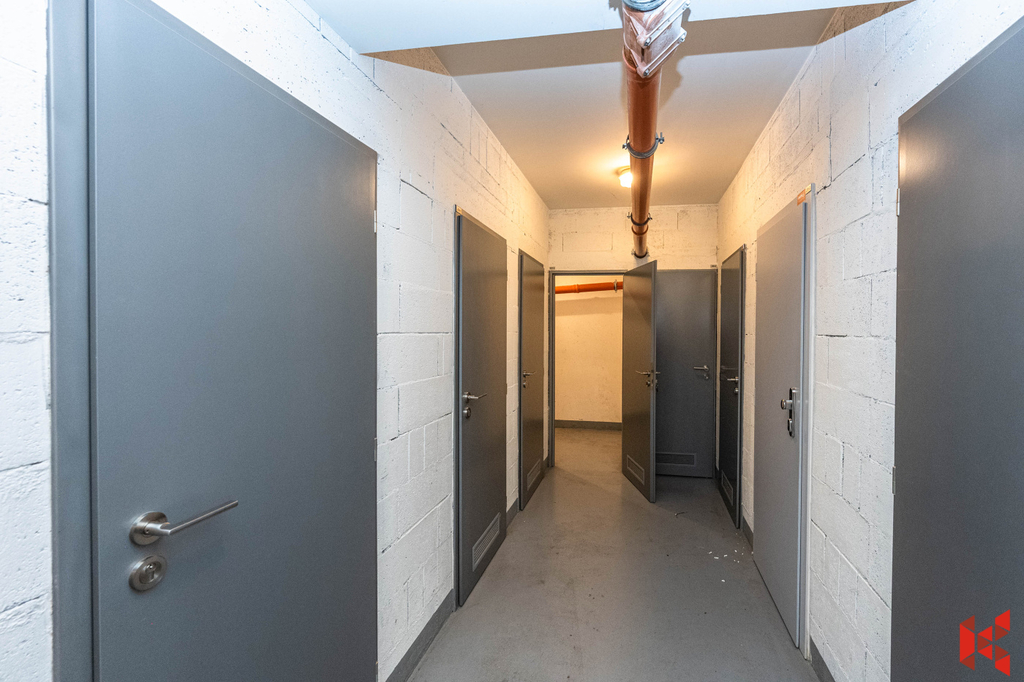 Fotku se nepodařilo načíst.